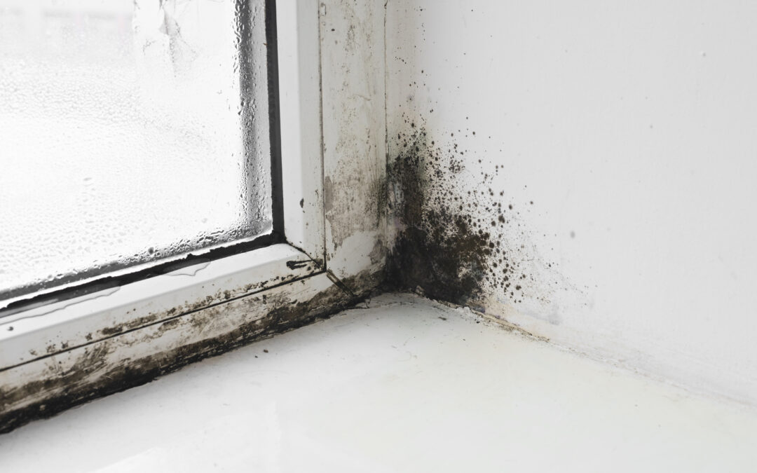 How a Professional Home Inspector Can Spot Water Intrusion in Winder, GA